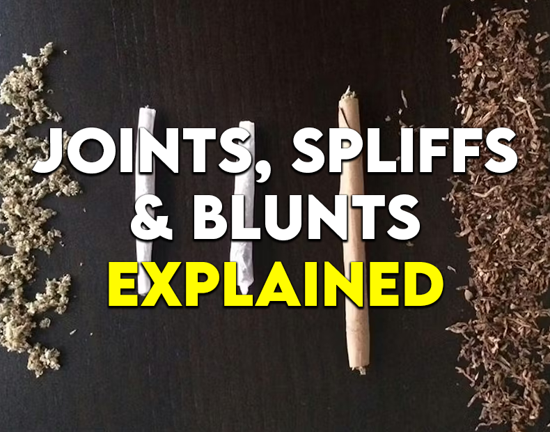 Joints vs. Blunts vs. Spliffs: The Ultimate Roll-Off (Red Roots Edition)