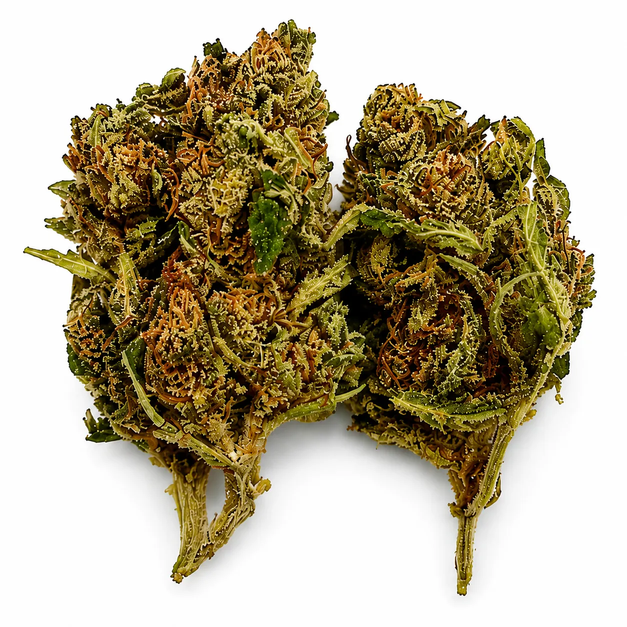 Pineapple Haze Flower - 28g