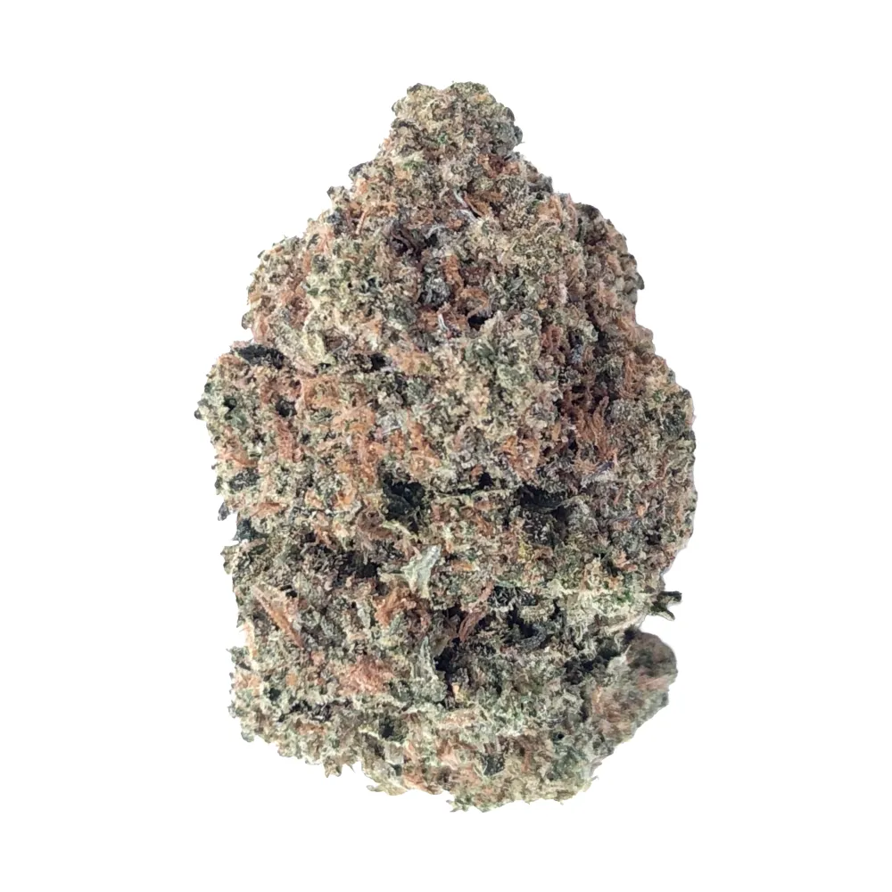 Frisian Dew Flower - 7g