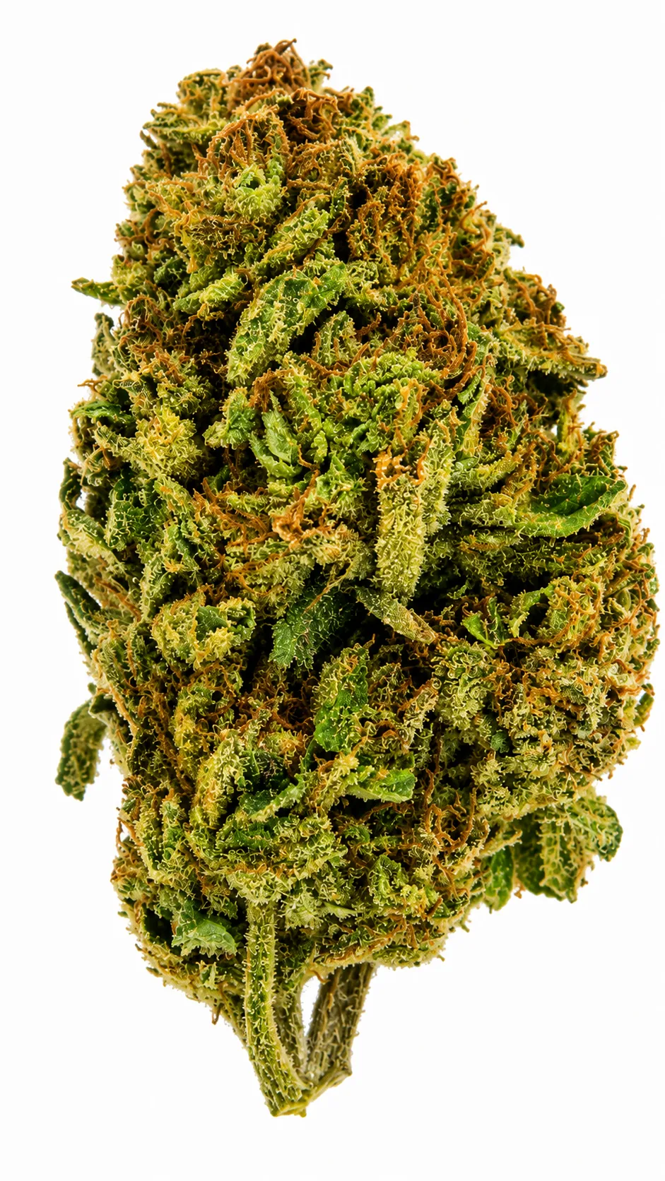 Cactus Cooler Flower - 28g