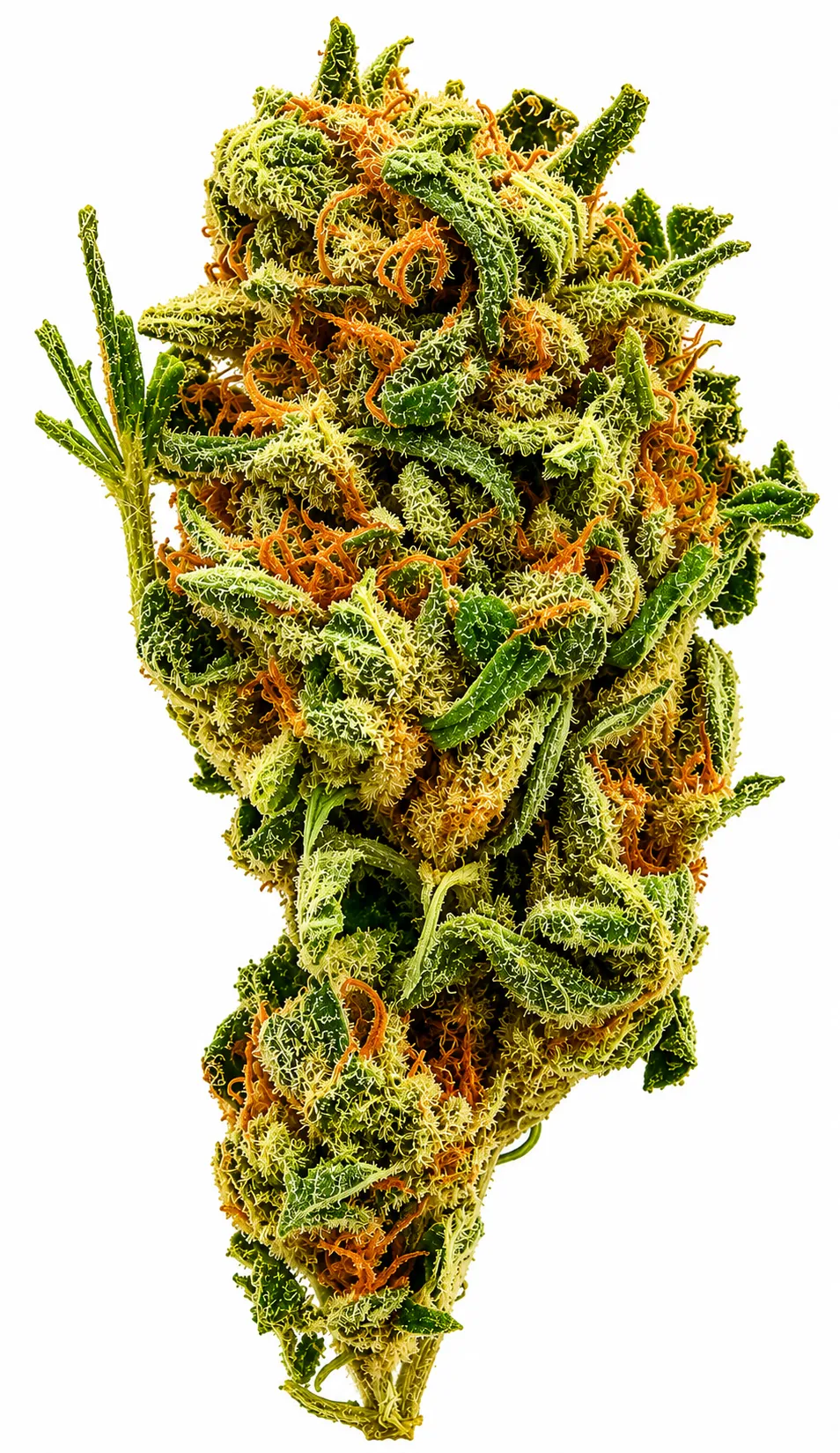 Product imageCaptain Jay Flower - 28g