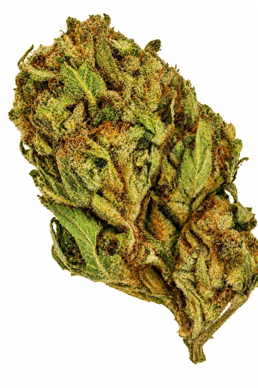 Product imageChocolope Flower - 28g