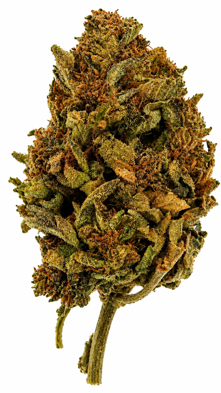 Critical Mass Flower - 28g