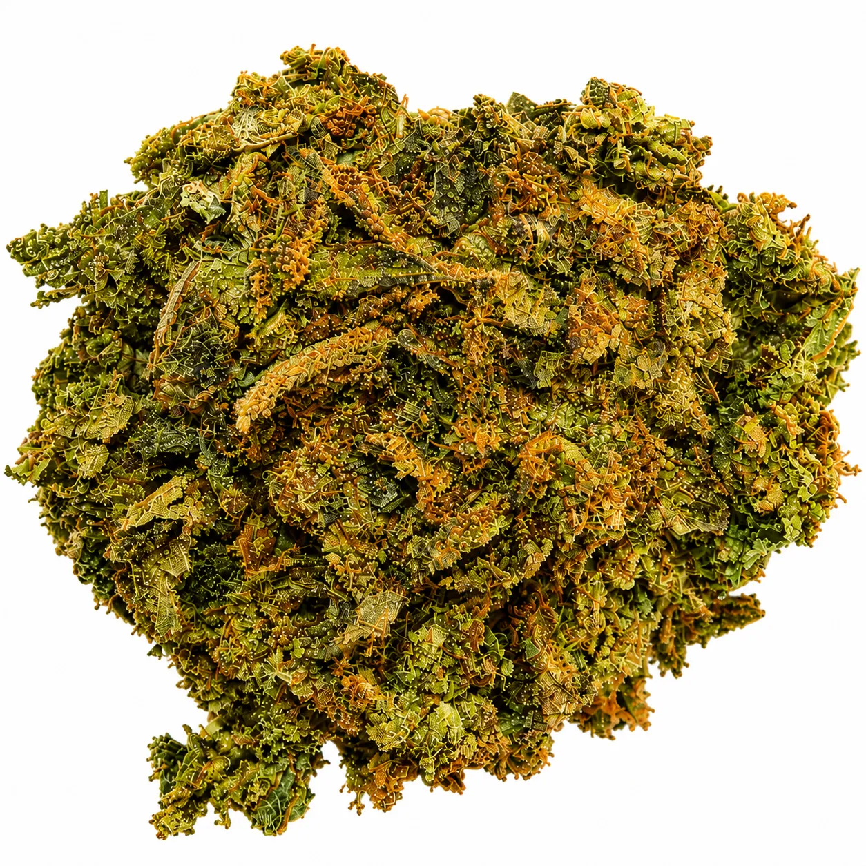 Product imageFirewalker Flower 1 LB