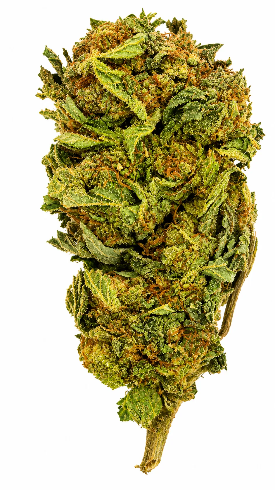 Monkey Breath Flower - 28g