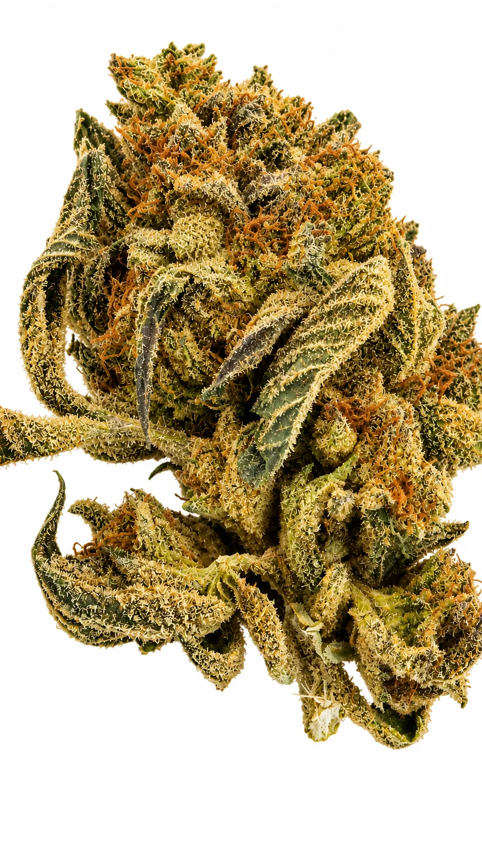 Tangie Flower - 28g