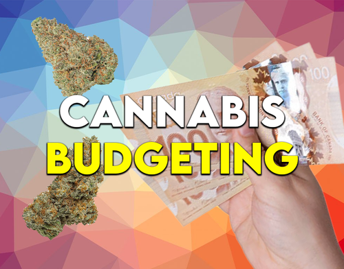Cannabis Budgeting: The Broke-but-Blazing Survival Guide