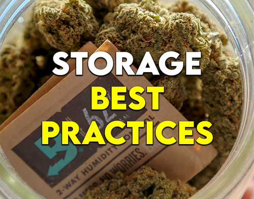 How to Properly Store Your Cannabis (& Keep It Fresh AF)