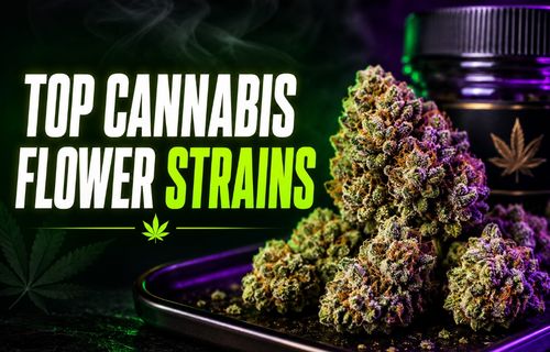 Top Cannabis Flower Strains You Must Try for the Perfect High 